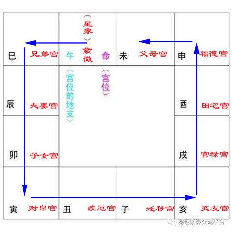 夫妻宮小耗|紫微斗数小耗星在夫妻宫什么意思？婚恋生活甜蜜吗？